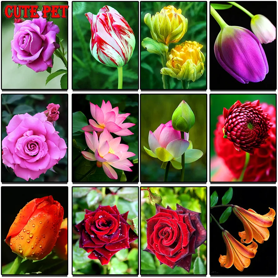 Plant flowers Lotus Diamond Painting EmbroideryTulips lilies roses Pattern Rhinestones Decor Needlework DIY Mosaic Cross Stitch