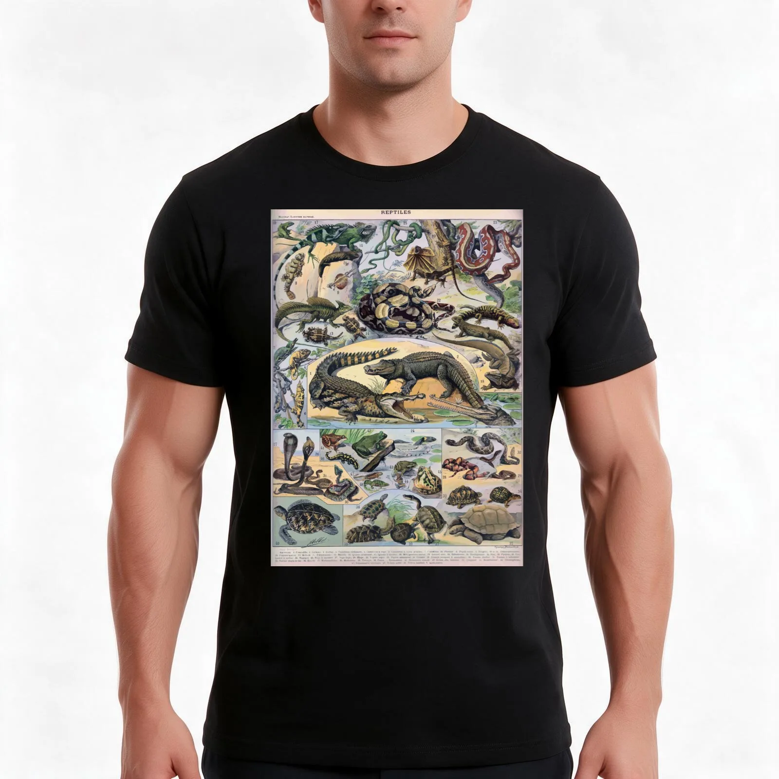 Adolphe Millot Reptile T-Shirt Summer Casual Cotton Tee Oversized Streetwear Tops Vintage Graphic Print Unisex Men Women