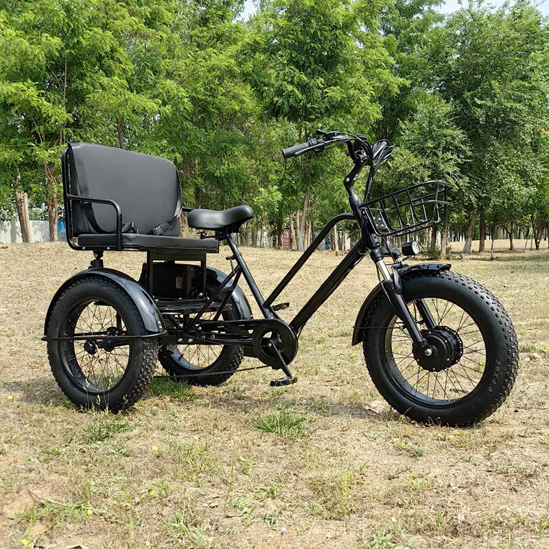 

Factory New Style Transportation Vehicle 48V 500W City Commuting Fat Tire 3 Wheel Electric Tricycles with Rear Bench for Adults