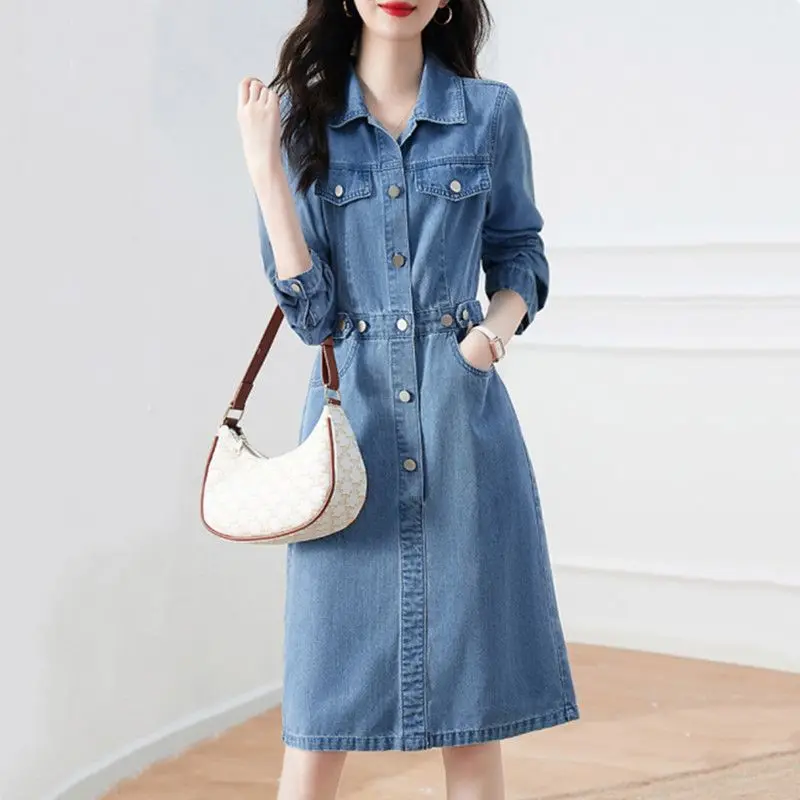 

2024 Spring Autumn New Women's Temperament Senior Sense Unique Polo Dress Slightly Fat Girls Show Thin Waist Closed Shirt Skirt