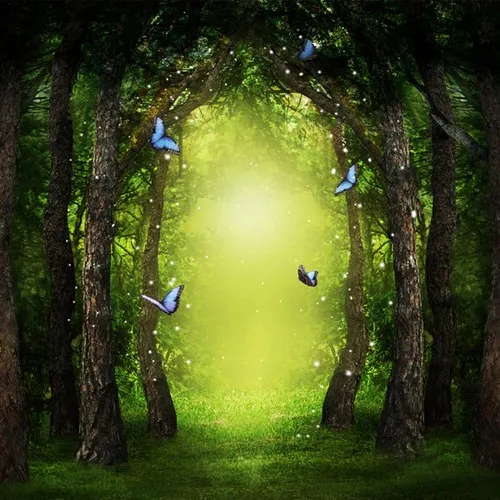 Fondos de fotografía de la serie Johnson Mythical Forest Butterflies Magic Light, fondos de estudio de fotografía con impresión por ordenador de alta calidad