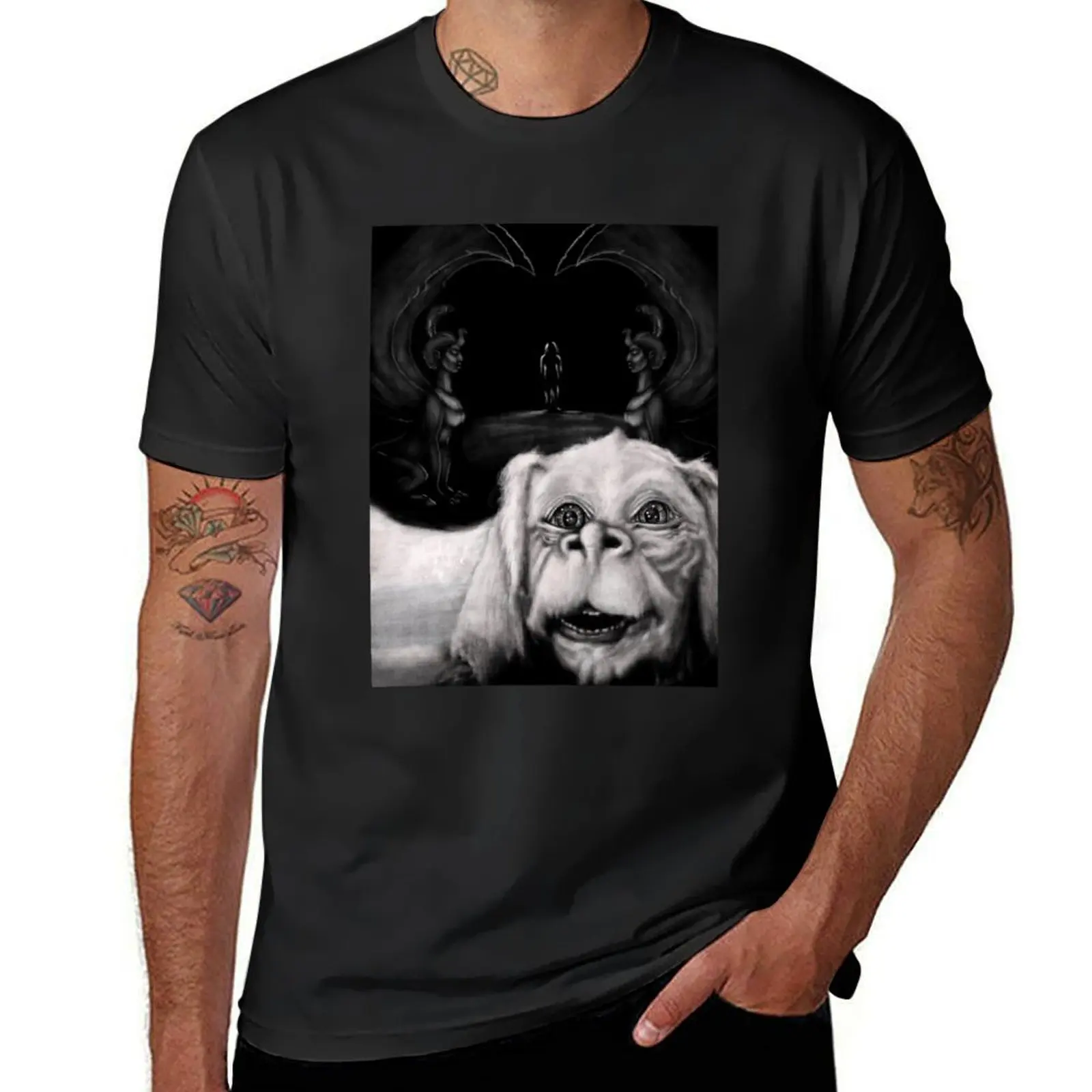 Falcor T-Shirt new edition kawaii clothes mens graphic t-shirts hip hop