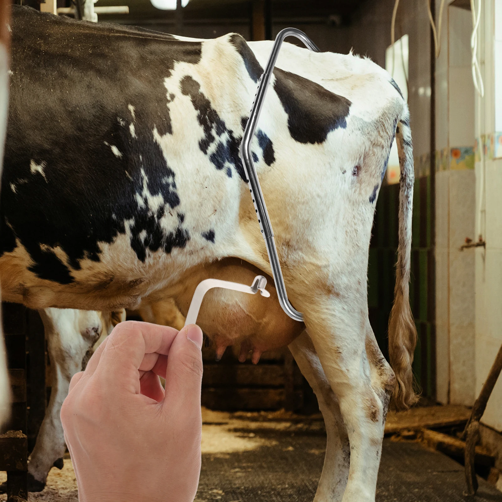 

10pcs Cow Kick Prevention Tool Durable Spring Clip Reusable AntiKick Device Cattle Management Farm Silver Push
