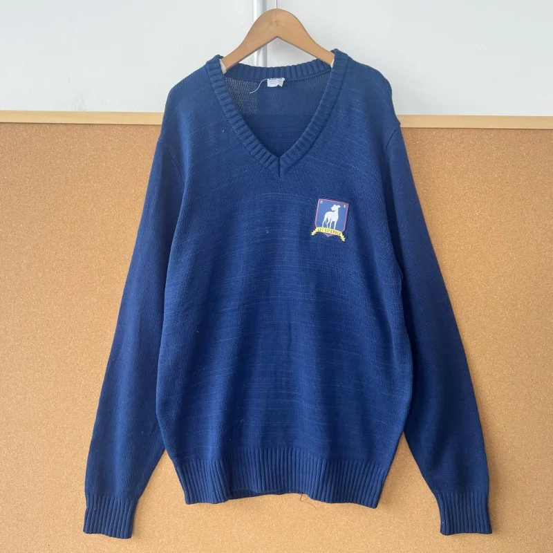 

Свободный длинный свитер Све V-Ne, повседневный свитер Campus Sle Y250, теплый осенне-зимний женский трикотаж, полный размер