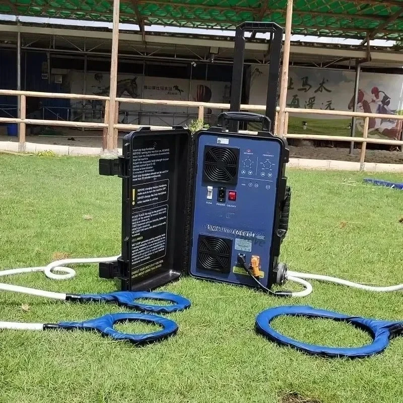 Máquina Hofmag de Hock And Loop de Terapia Masajeadora