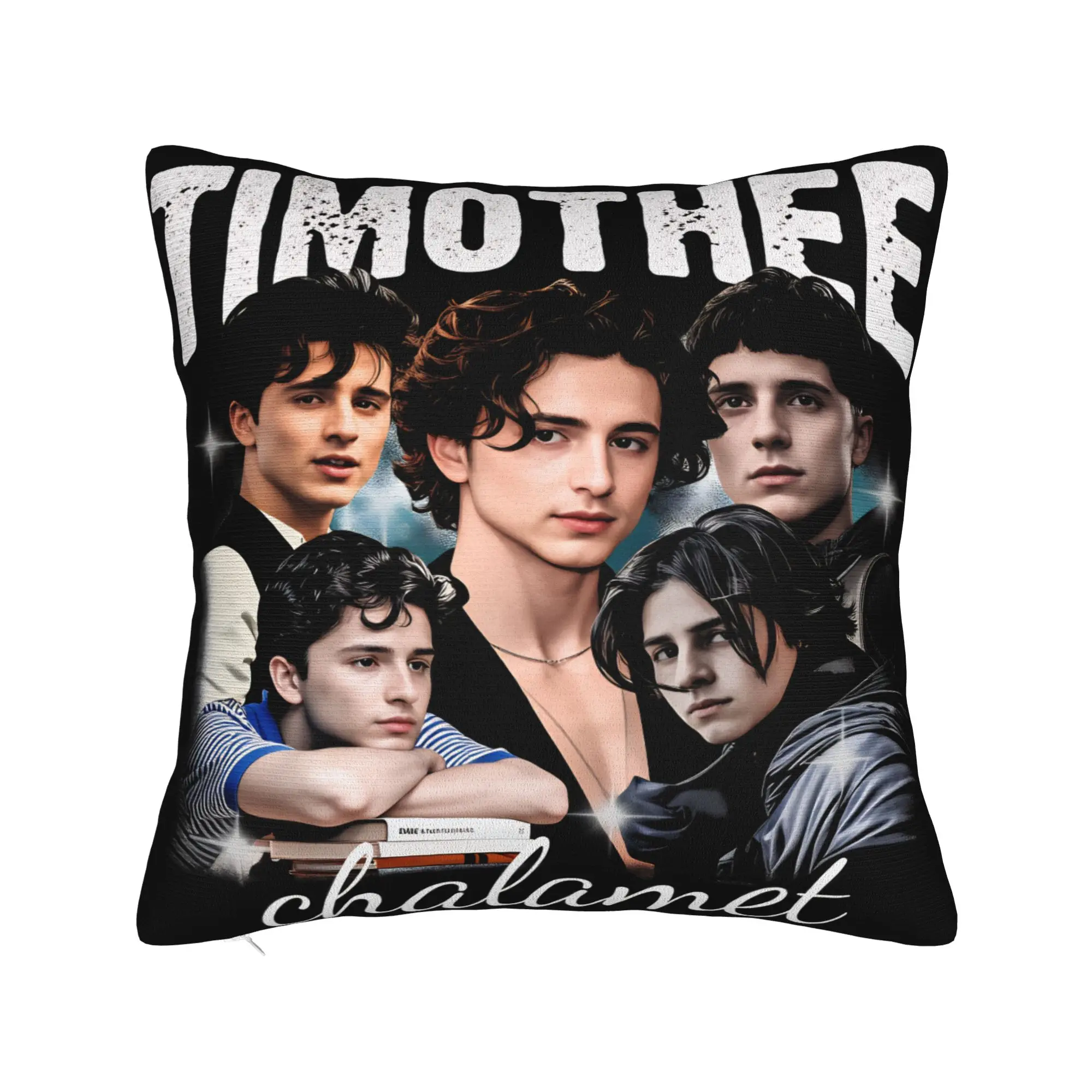 Timothee Chalamet American Actor  Pillow Cover  Square Cushion Cover Funny Pillow Case For Living Room Bed Chair