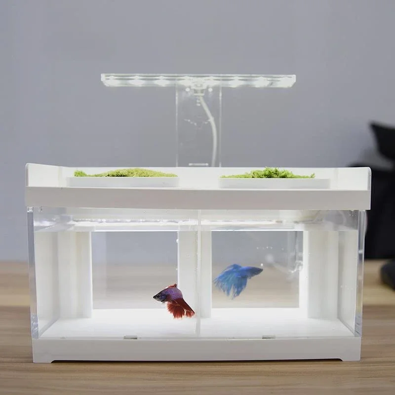 

Acrylic Betta Tank Desktop Ecological Filter Dedicated Isolation Betta Tank Change Water Heating Group Row with Light