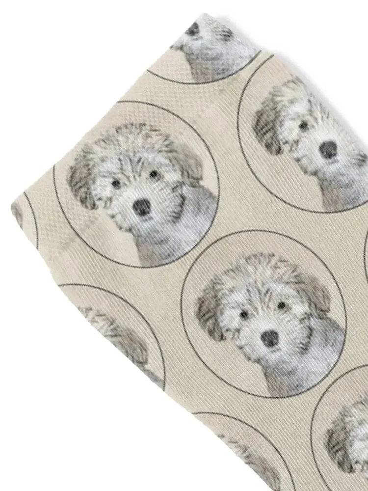 Havanese Puppy Socks tennis Rugby Luxury Woman Socks Men's