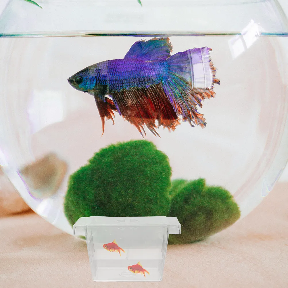 4Pcs Aquarium Fish Fry Box Self-Floating Double-Layer Breeding Incubator for Betta Shrimp Hatchery Transparent Monitoring Easy