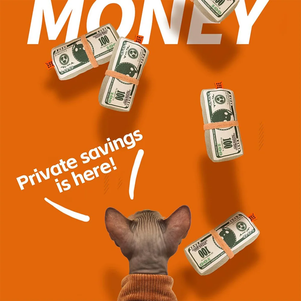 Dog Toy Money Shape Bite Resistant Indestructible Squeaky Toy Sound Interactive Self-Play for Dog Puppy Cat Pet Training Supplie
