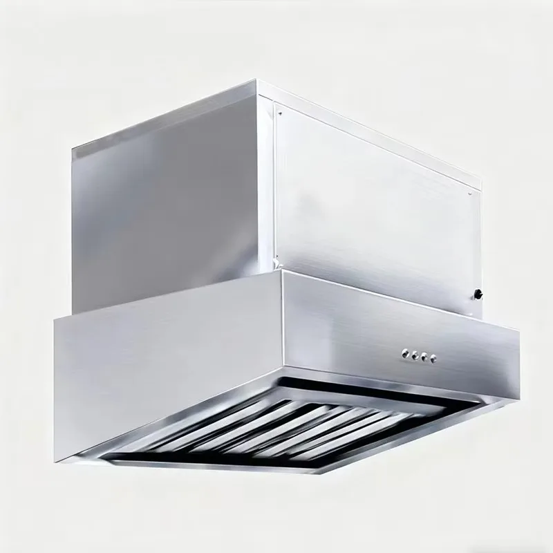 Customized Direct Operated Stainless Steel 201/304 Ductless Range Hood for Commercial Eatery Inner Circulation Kitchen Extractor