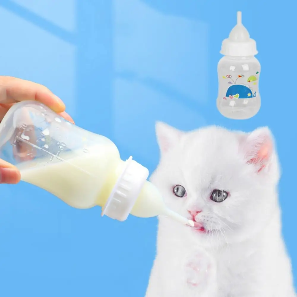 150 ΠΌΠ» Π±ΡΡΡΠ»ΠΎΡΠΊΠ° Π΄Π»Ρ ΠΌΠΎΠ»ΠΎΠΊΠ° Π΄Π»Ρ Π΄ΠΎΠΌΠ°ΡΠ½ΠΈΡ
ΠΆΠΈΠ²ΠΎΡΠ½ΡΡ
, ΠΌΡΠ»ΡΡΡΡΠ½Π°Ρ Π±ΡΡΡΠ»ΠΎΡΠΊΠ° Π΄Π»Ρ ΡΠΎΡΠΊΠΎΠ² Ρ Π·Π°ΡΠΈΡΠΎΠΉ ΠΎΡ ΡΠΊΡΡΠΎΠ², ΡΠΈΠ»ΠΈΠΊΠΎΠ½ΠΎΠ²Π°Ρ ΡΡΡΠΎΠΉΡΠΈΠ²Π°Ρ ΠΊ ΡΠΊΡΡΠ°ΠΌ ΠΊΠΎΡΠΌΡΡΠΊΠ° Π΄Π»Ρ ΠΊΠΎΡΠ°ΡΡΠ΅Π³ΠΎ ΠΌΠΎΠ»ΠΎΠΊΠ° Π΄Π»Ρ ΠΊΠΎΡΠΌΠ»Π΅Π½ΠΈΡ 150 ΠΌΠ» Π±ΡΡΡΠ»ΠΎΡΠΊΠ° Π΄Π»Ρ ΠΌΠΎΠ»ΠΎΠΊΠ° Π΄Π»Ρ Π΄ΠΎΠΌΠ°ΡΠ½ΠΈΡ
ΠΆΠΈΠ²ΠΎΡΠ½ΡΡ
, ΠΌΡΠ»ΡΡΡΡΠ½Π°Ρ Π±ΡΡΡΠ»ΠΎΡΠΊΠ° Π΄Π»Ρ ΡΠΎΡΠΊΠΎΠ² Ρ Π·Π°ΡΠΈΡΠΎΠΉ ΠΎΡ ΡΠΊΡΡΠΎΠ², ΡΠΈΠ»ΠΈΠΊΠΎΠ½ΠΎΠ²Π°Ρ ΡΡΡΠΎΠΉΡΠΈΠ²Π°Ρ ΠΊ ΡΠΊΡΡΠ°ΠΌ ΠΊΠΎΡΠΌΡΡΠΊΠ° Π΄Π»Ρ ΠΊΠΎΡΠ°ΡΡΠ΅Π³ΠΎ ΠΌΠΎΠ»ΠΎΠΊΠ° Π΄Π»Ρ ΠΊΠΎΡΠΌΠ»Π΅Π½ΠΈΡ