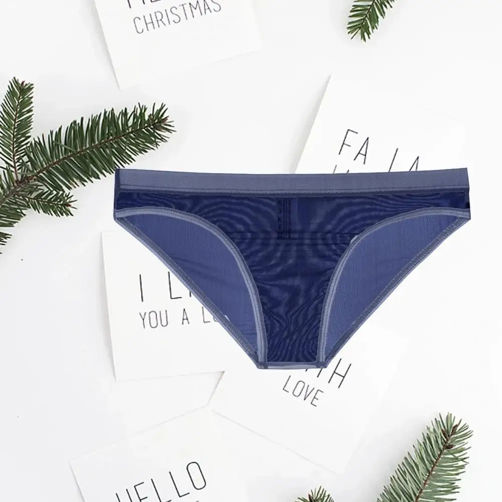 Summer Cool Triangle Briefs Men Underpants Breathable Mesh See Through No Bulge Pouch Low Waist Close-fitting Thin Men Panties