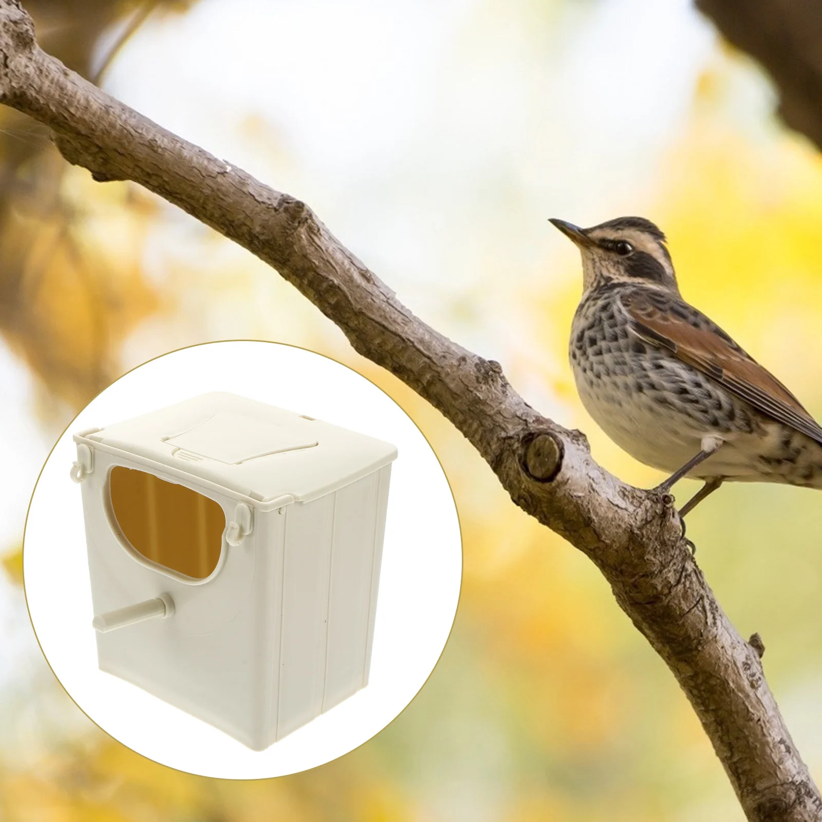 Kolibri-Nistkäfig-Zuchtbox zum Aufhängen von Vögeln, Hausbeige, Wasserspender für Haustiere