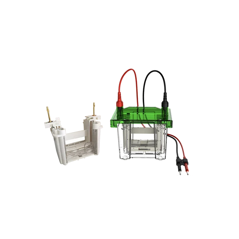 

Vertical Electrophoresis Tank for Protein And Transfer Double Plate Lab Equipment for Scientific Research