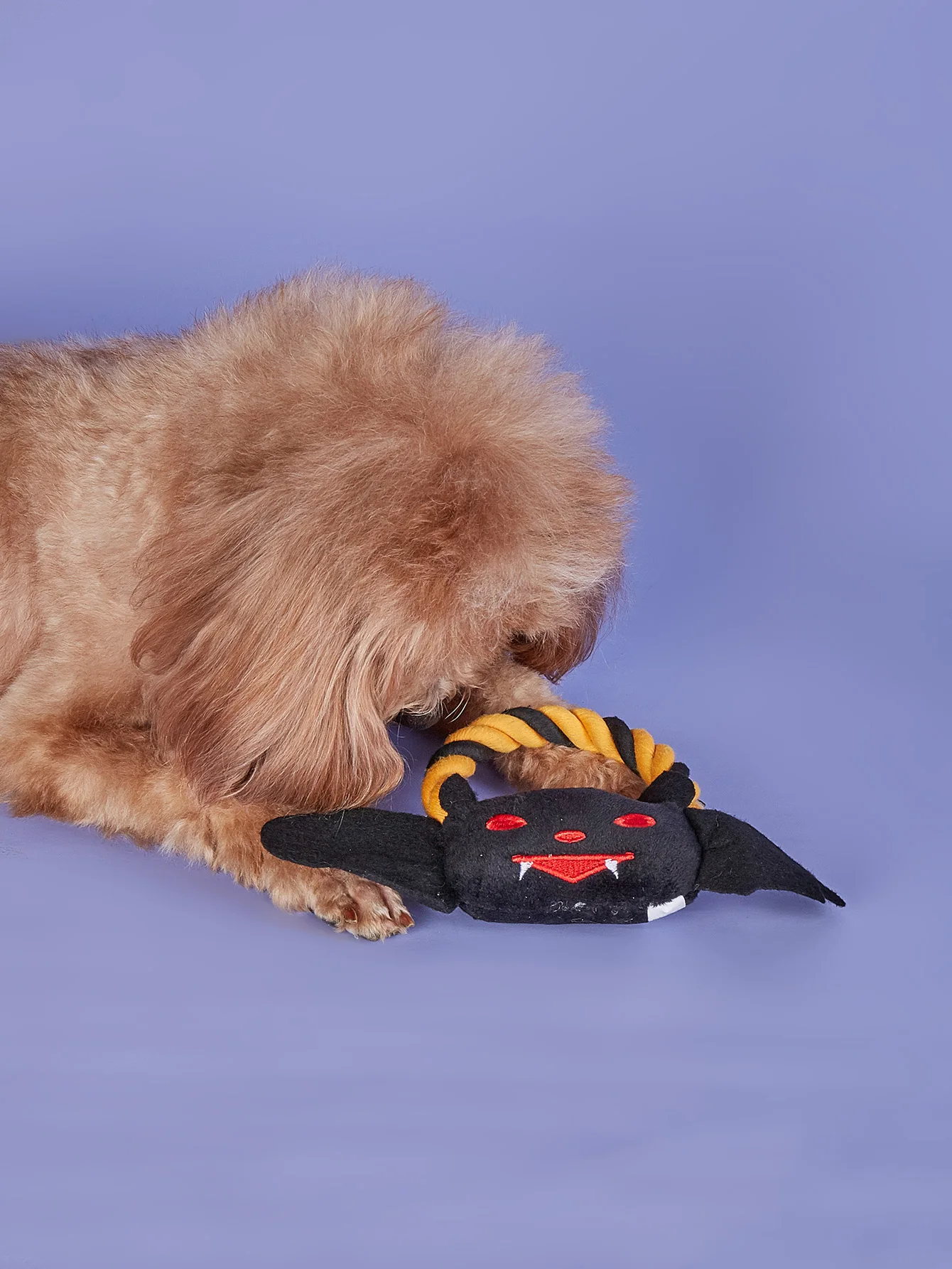Dog Toys for Small Medium Breeds Halloween Pumpkin & Bat  Rope Chew Toy Durable Tough Squeaky Puppy Toys for Pet Gifts Soft Plus