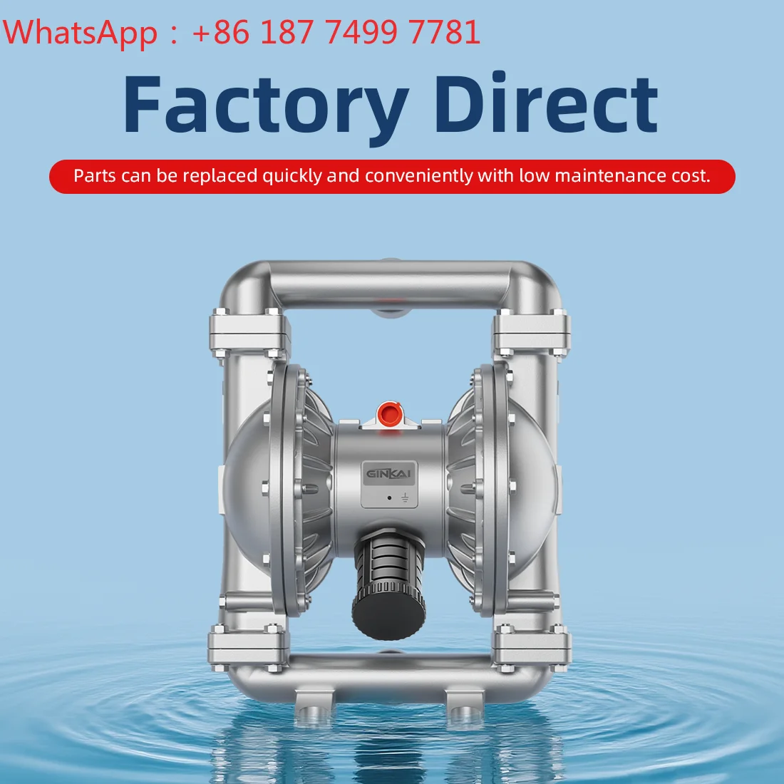 DN40 Stainless Steel Pneumatic Diaphragm Pump Air Operated Double Diaphragm Pump Thread Connection Wildenm Pump Diaphragm
