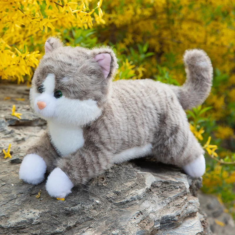 นอนบนท้อง หมอนนอนแมว ตุ๊กตาลูกแมว ของเล่นตุ๊กตา ของขวัญ ตุ๊กตาเตียงผ่อนคลาย ของขวัญวันเด็ก ของขวัญวันเกิด