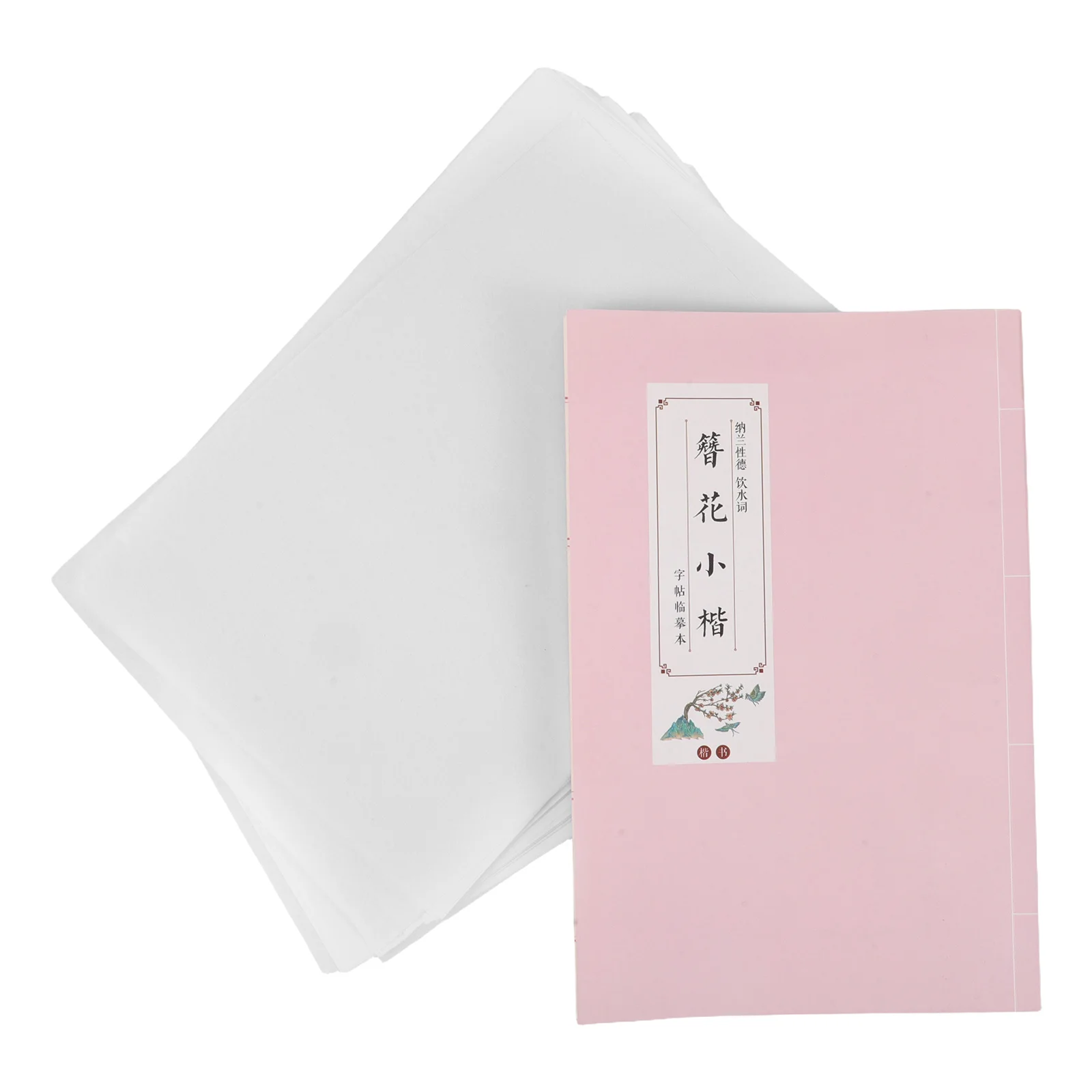 

Primary School Students Practice Calligraphy Chinese Handwriting Notebook Tracing This Paper