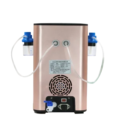 

300ML/600ML Large Capacity High Purity Hydrogen Generador De Hidrogeno Rich Hydrogen Inhalation Machine for H2 breathing