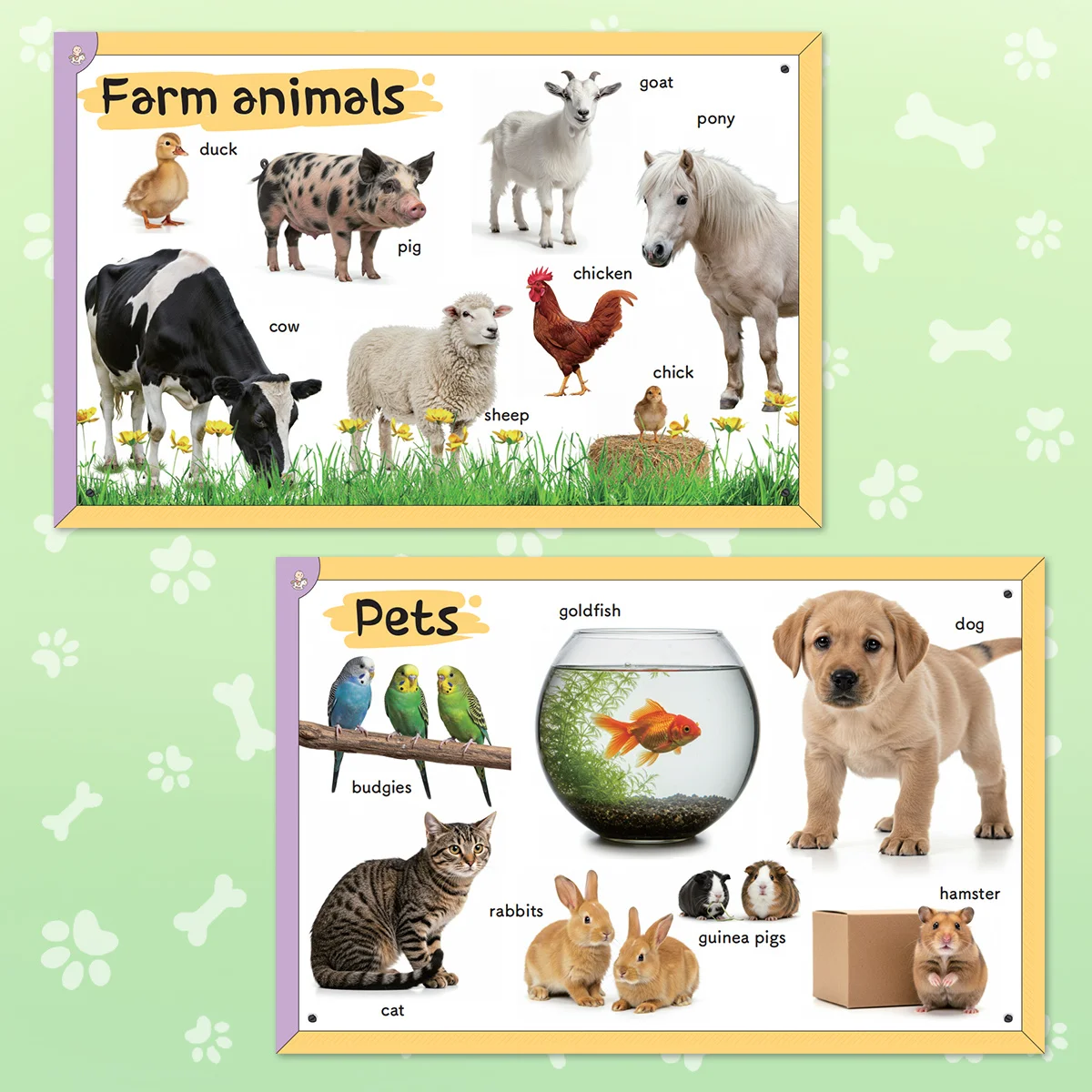 Animals Learning Book for Kids Illustrated Workbook with Wild Animals Farm Animals and Ocean Creatures Build Vocabulary