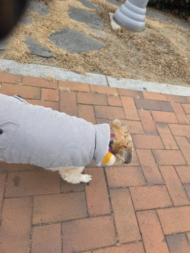 구매후기