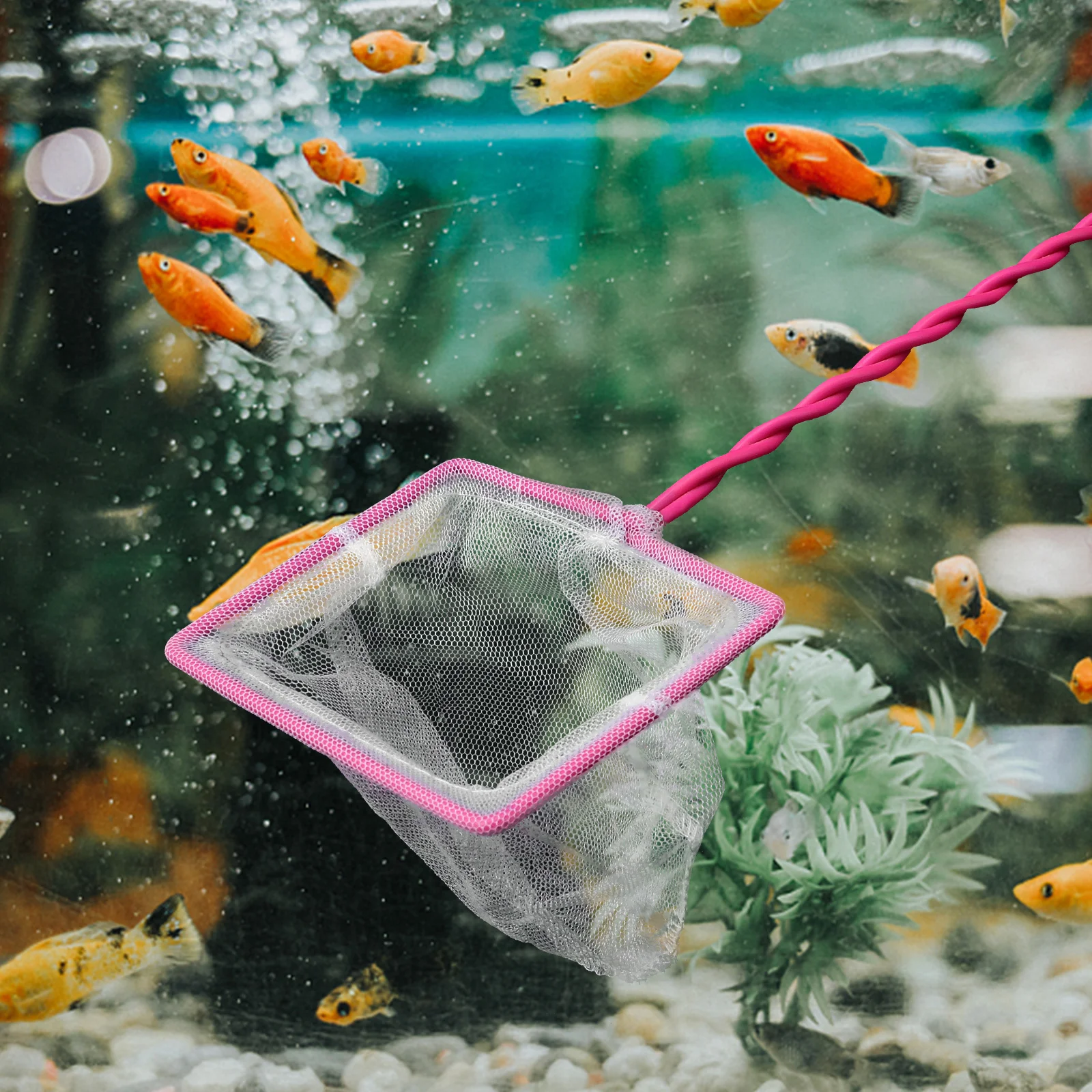 

3Pcs Fish Net Practical Handheld Scoop Fine Mesh Aquarium Fish Tank Pink Durable Safe Portable Iron Wire Core Handle