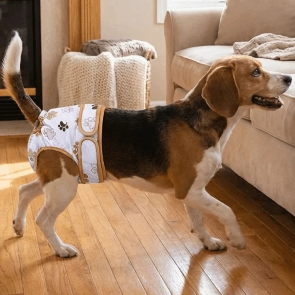 Washable Pet Sanitary Pants Adjustable Highly Absorbent Pet Physiological Pants Breathable Snaps Belly Female Dog Diapers
