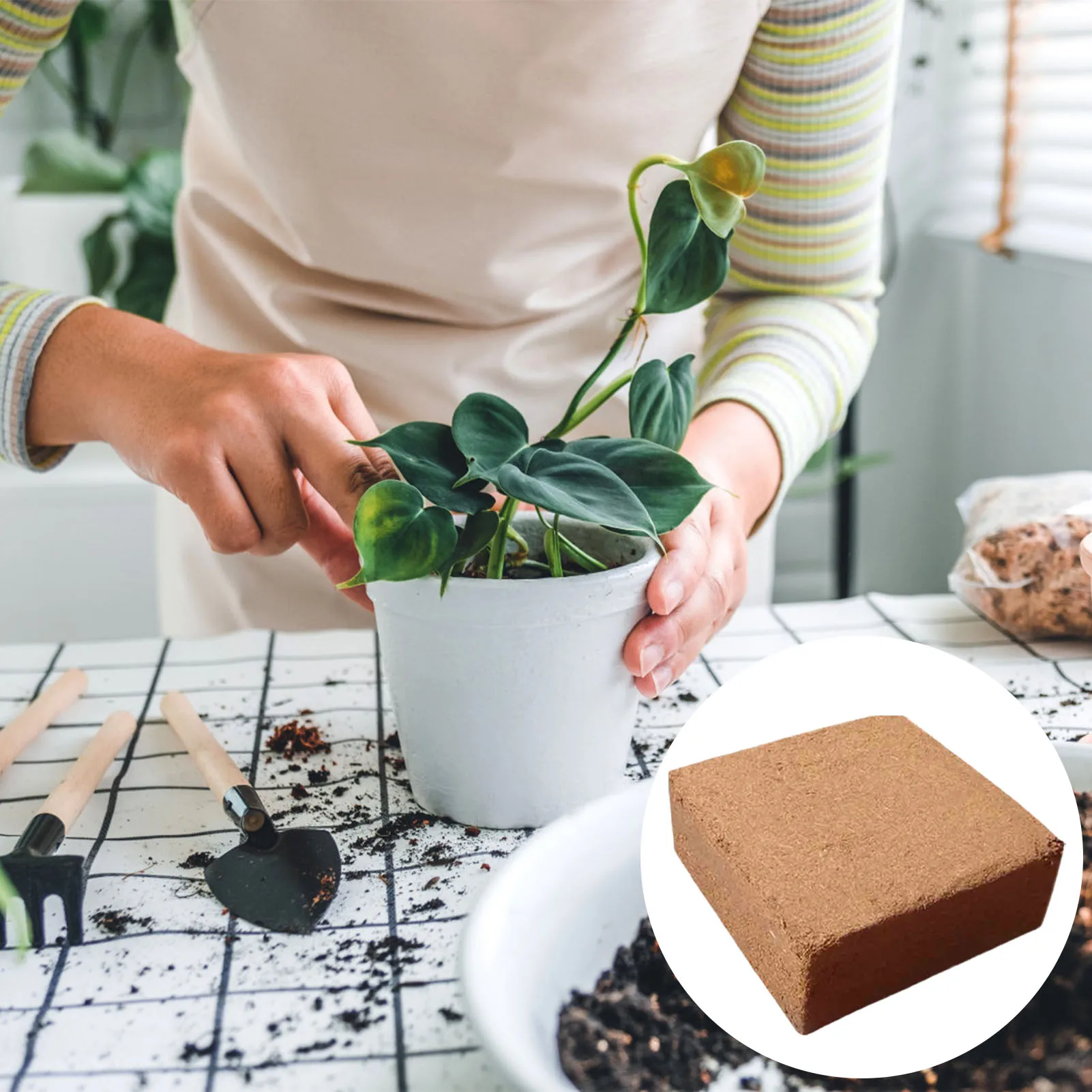 حديقة التربة جوز الهند النخالة ثقافة بدون تربة بدائل وسائل الإعلام المغذيات للبستنة في الهواء الطلق لحقيبة نباتات البذور البستنة