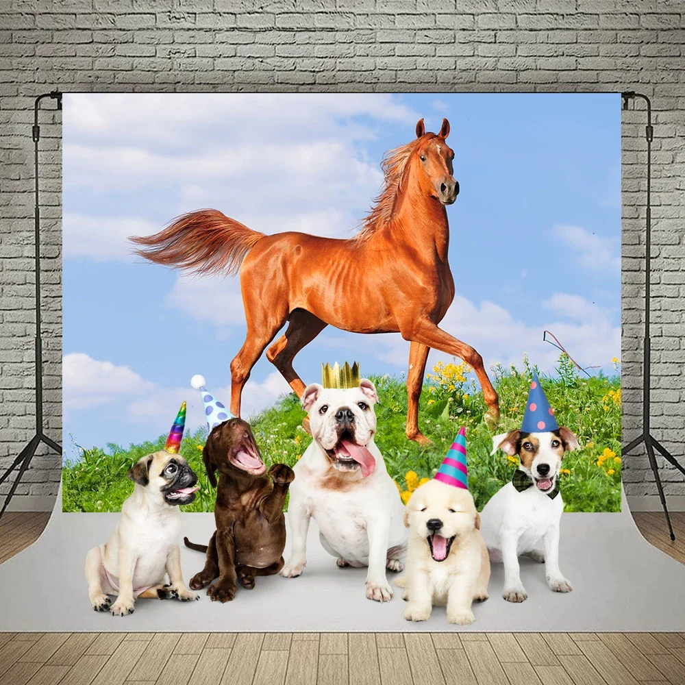 Bonvvie Fotografie Hintergrund Grünland Blue Sky Bewölkten Running Horse Kinder Photo Hintergrund Photozone für Foto Studio