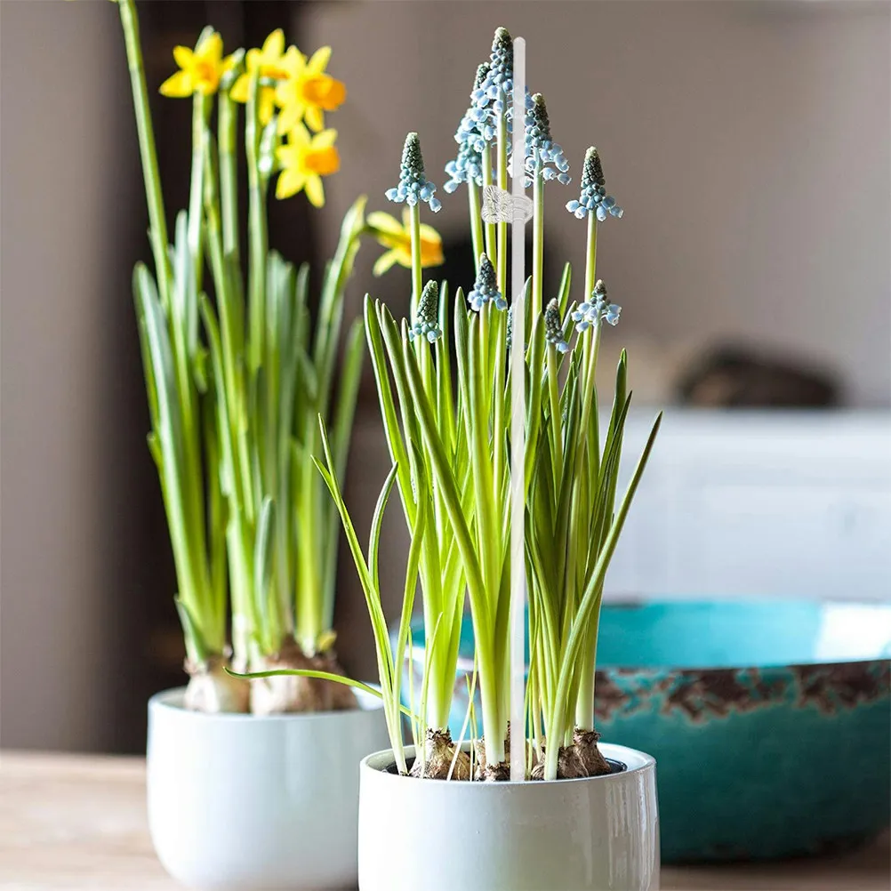20 Soportes de Acrílico Transparente para Plantas, Clips para Orquídeas, Soportes para Tallos de Jardín Interior y Exterior, Soporte para Flores y Vegetales, Estaca de Acrílico para Macetas