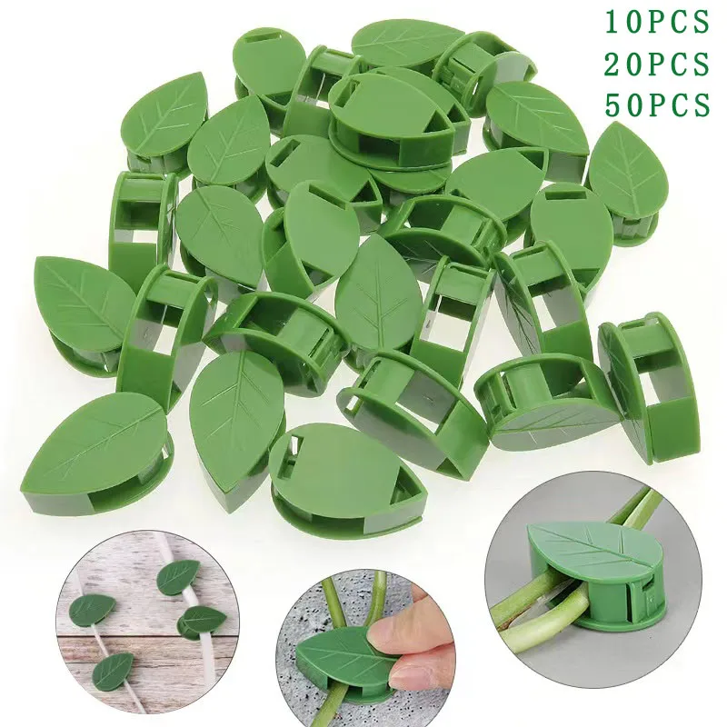 10/20/50 Pcs Plant Climbing Wall Fixture Clips Acrylic Sticker Self-Adhesive Hook Plant Vine Traction Holder Iопора для растений