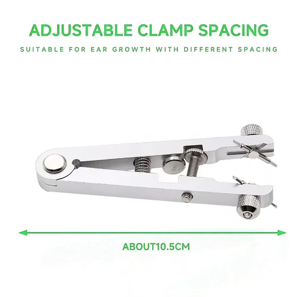 Watch Spring Bar Plier Tool Kit Spring Bar Tweezer Tool For Watch Wrist Bands Strap Removal Repair Fix Set