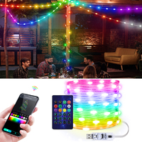 USB 5V RGBIC Smart Addressable Party Christmas Light String Bluetooth LED String Dreamcolor Fairy Garland Xmas Tree Curtain Lamp