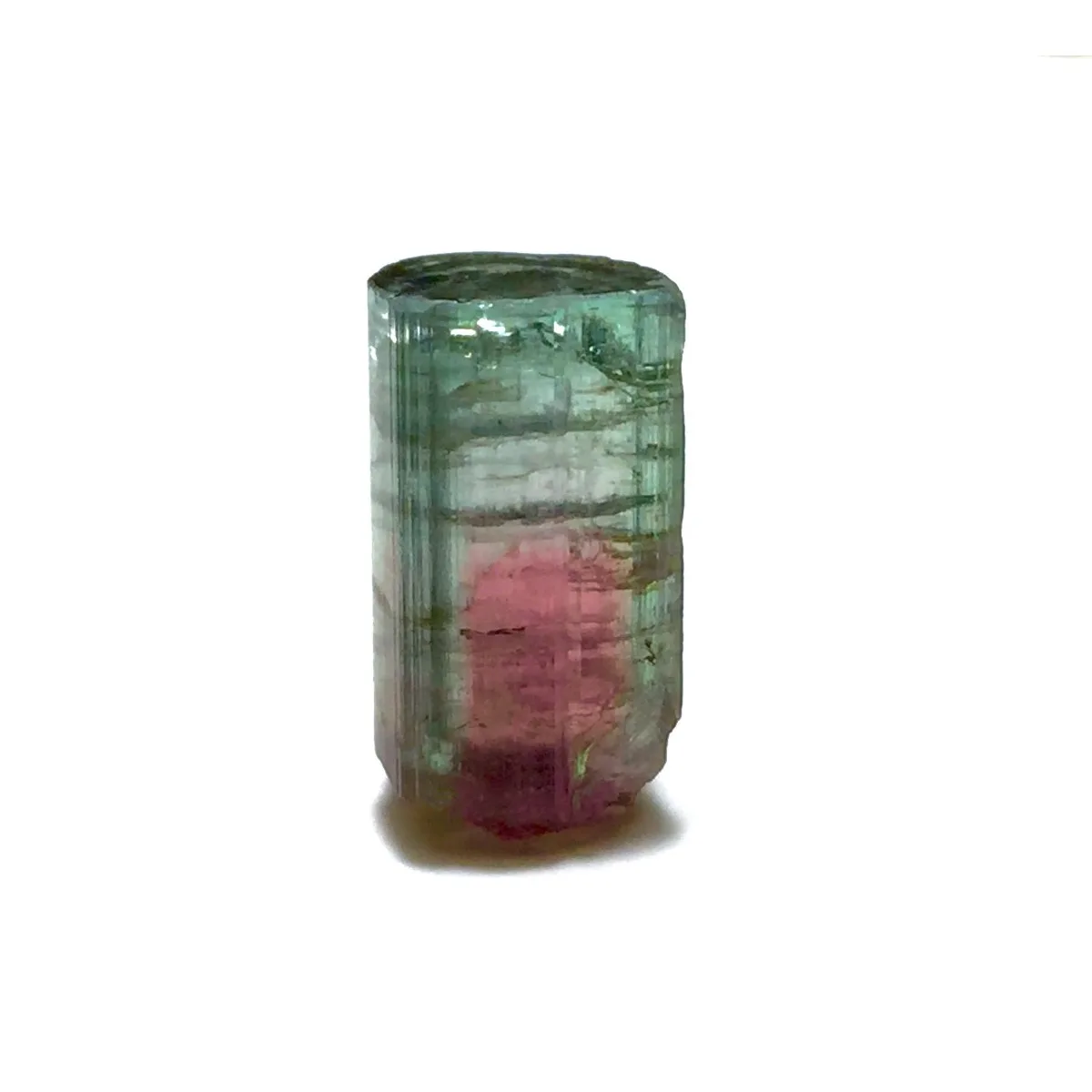 Brazilian Elbaite Crystal Specimens, 10g 5-15mm Multi-Color Stones, Display Box for Collector Gift Box & Rock Collection