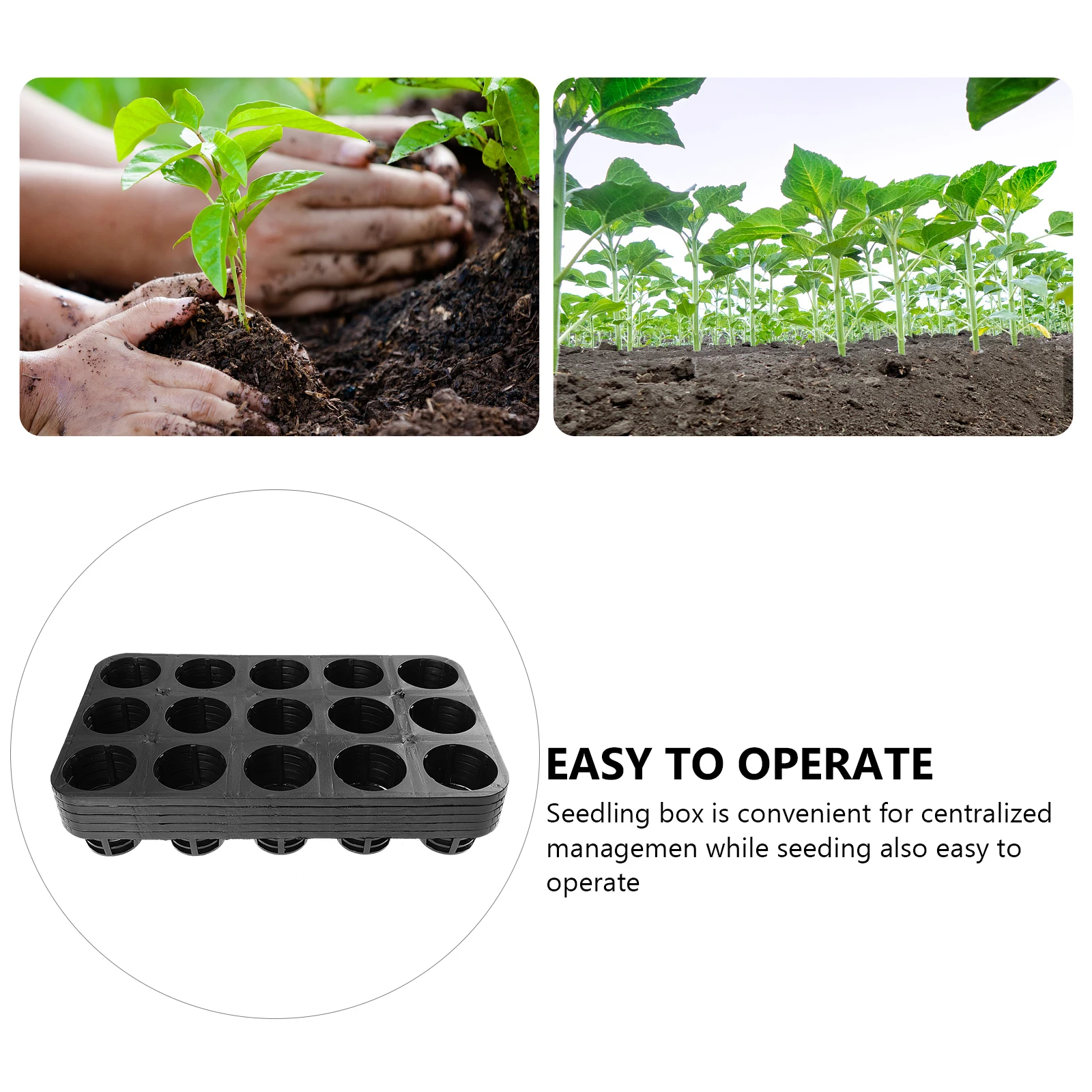 

5 Pcs 15 Hole Phalaenopsis Trays Plant Growing Nursery Pots Germination Plates Plastic Flower Seedling Tray Lightweight Easy
