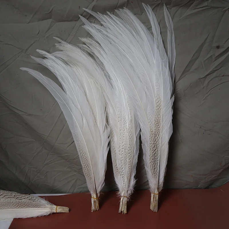 10-75 cm White 10Pcs/Lot Natural Silver Pheasant Feathers for Jewelry Making Decoration DIY Wedding Party Handicraft Accessories