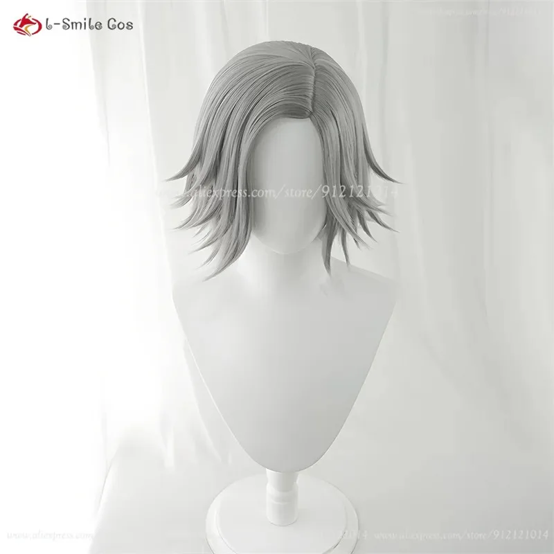 aotsuki-eito-コスプレウィッググレー-25-センチメートルショートウィッグ耐熱人工毛男性用コスチュームアニメコスプレウィッグハロウィン