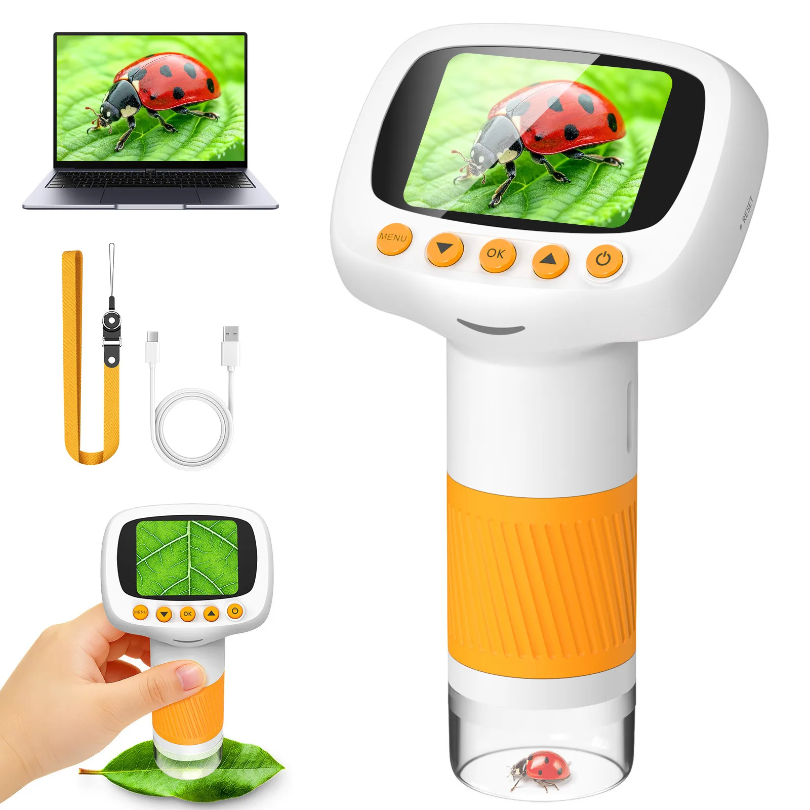 Thumbnail 2 - #65 Ranked Microscopes Picks in 2026
