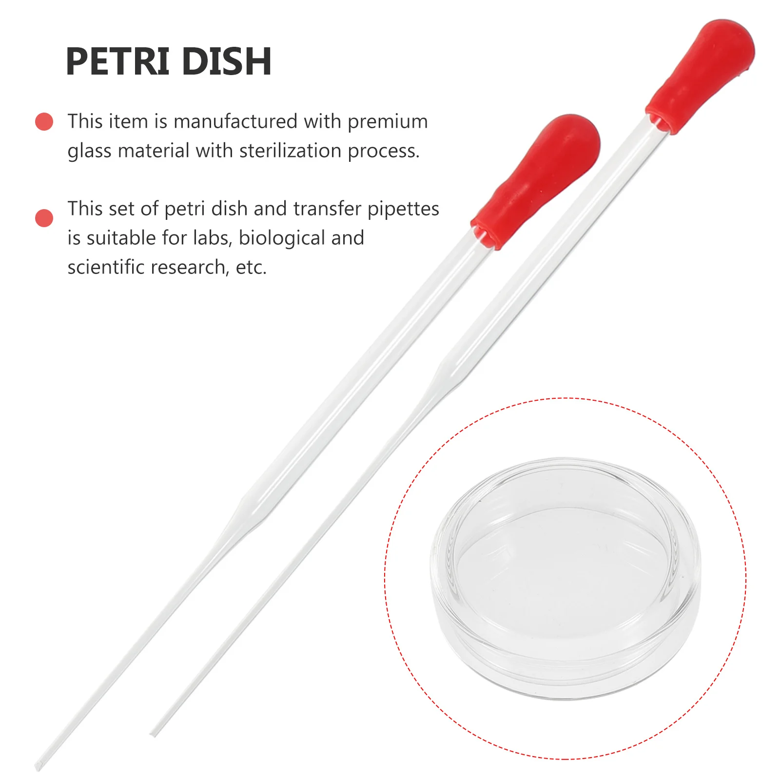 

6Pcs Culture Dish Set Sterilized Glass Lids Transfer Pipettes 60mm Scientific Experiment Laboratory Tools Petri Dish