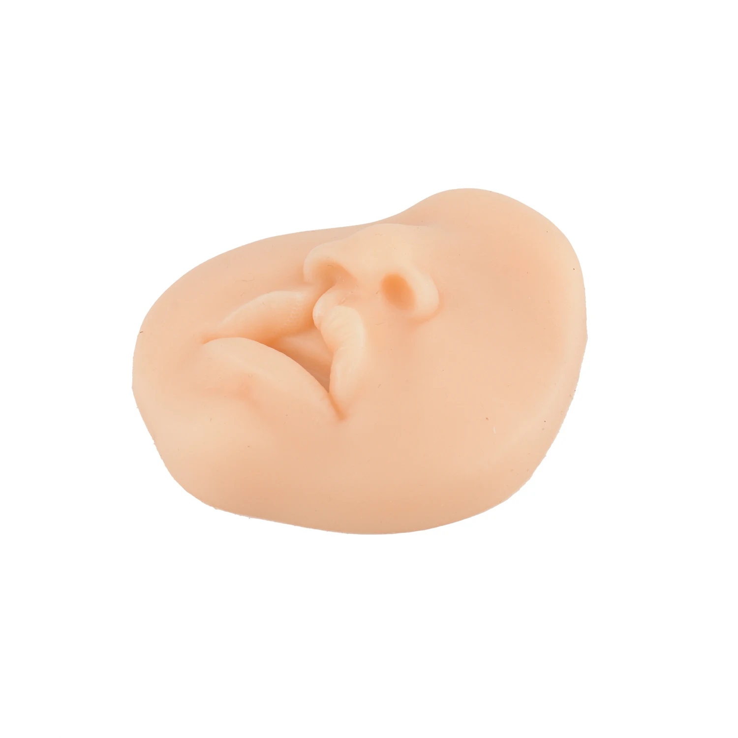 Silicone Cleft Lip Suture Trainer Model Simulator Unilateral/Bilateral Cleft Lip Suture Repair & Knot Practice for Medical Teach
