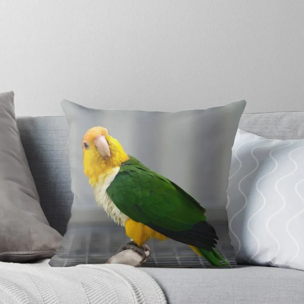 White-bellied Caique Throw Pillow Decorative Sofa Cushion Throw Pillow Covers Cushions Ornamental Pillow