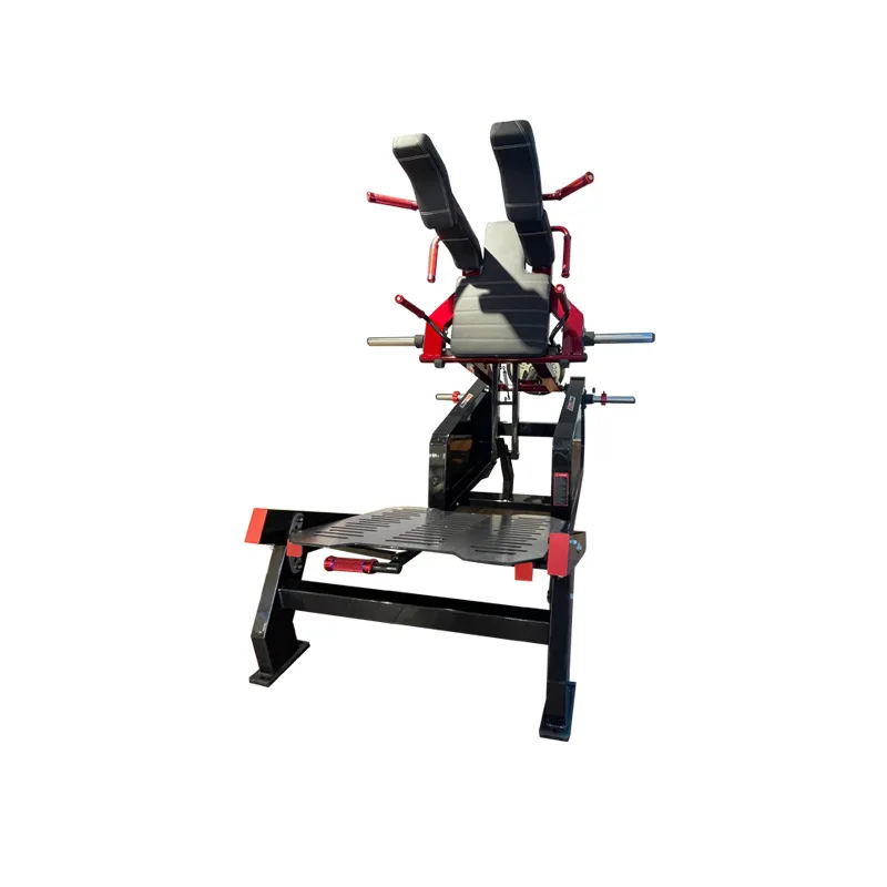 

Trainer Commercial Shaping Hack Squat Glute Maximus