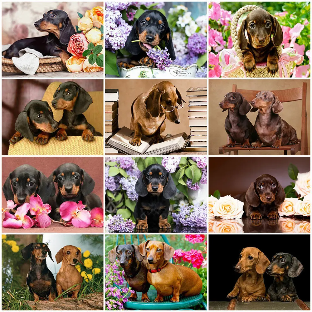 Dackel Diamond Painting: Ein ultimatives Geschenk für Tierliebhaber