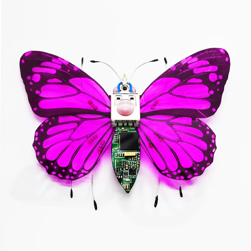

Exquisite Handicrafts For Girls Boys DIY Punk Insects Electronic Assembly Kits Physics Experiments