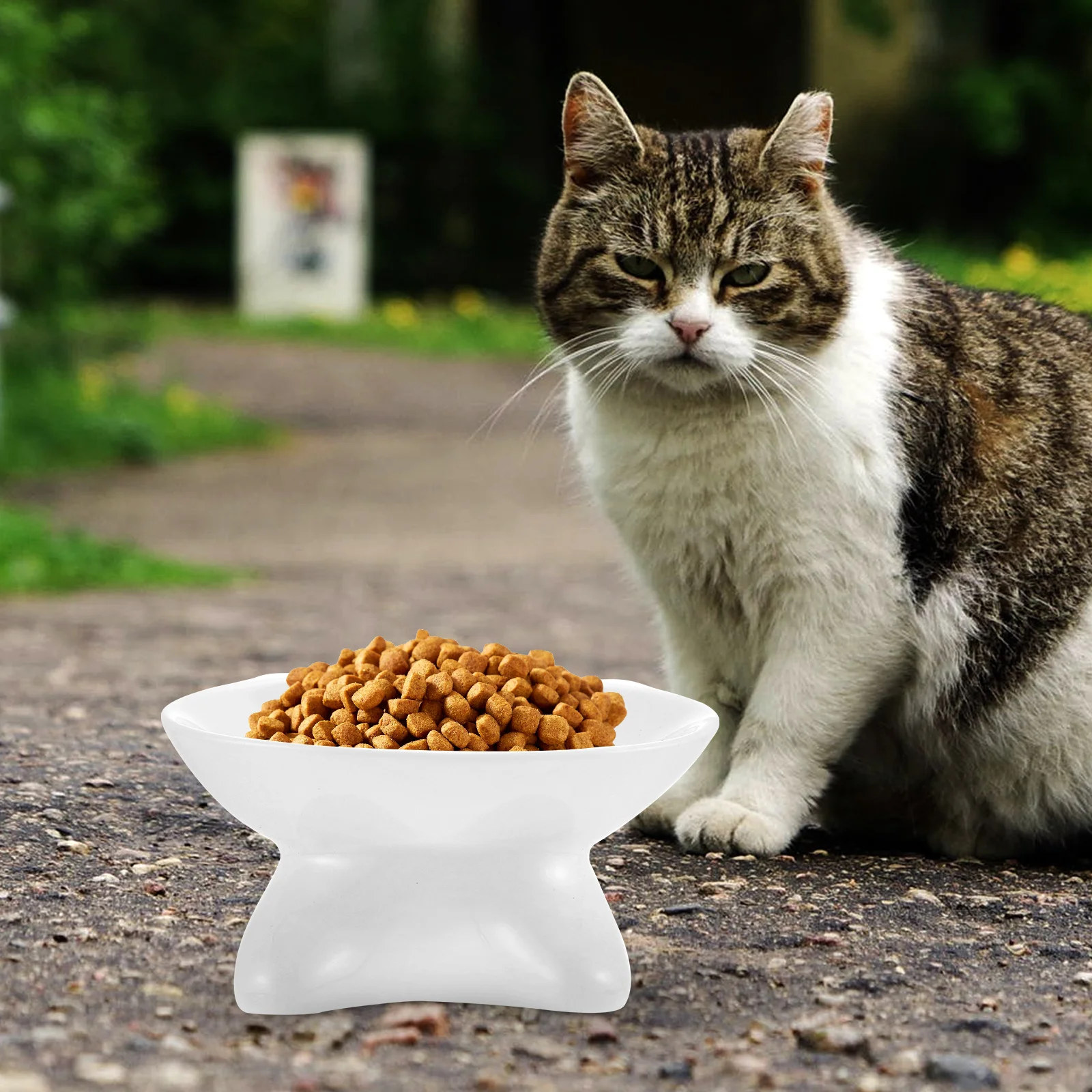 

Cat Face Ceramic Pet Feeding Bowl Stable Base Anti-Slip Food Water Holder Sloping Design Dog Food Bowl Dog Bowls