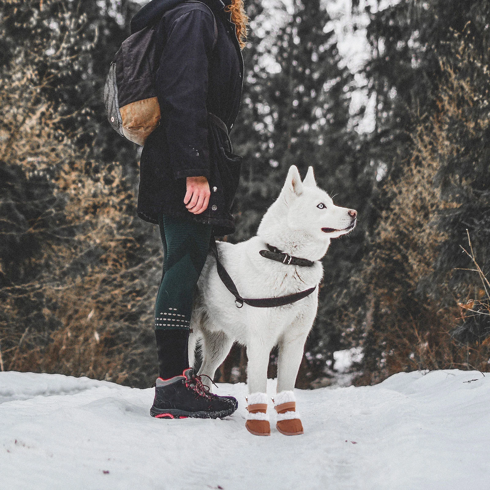 

4pcs Pet Winter Boots Lamb Wool Lined Dog Snowshoes Non Slip For Outdoor Hiking Running Puppy Small Dogs Chihuahua Paw