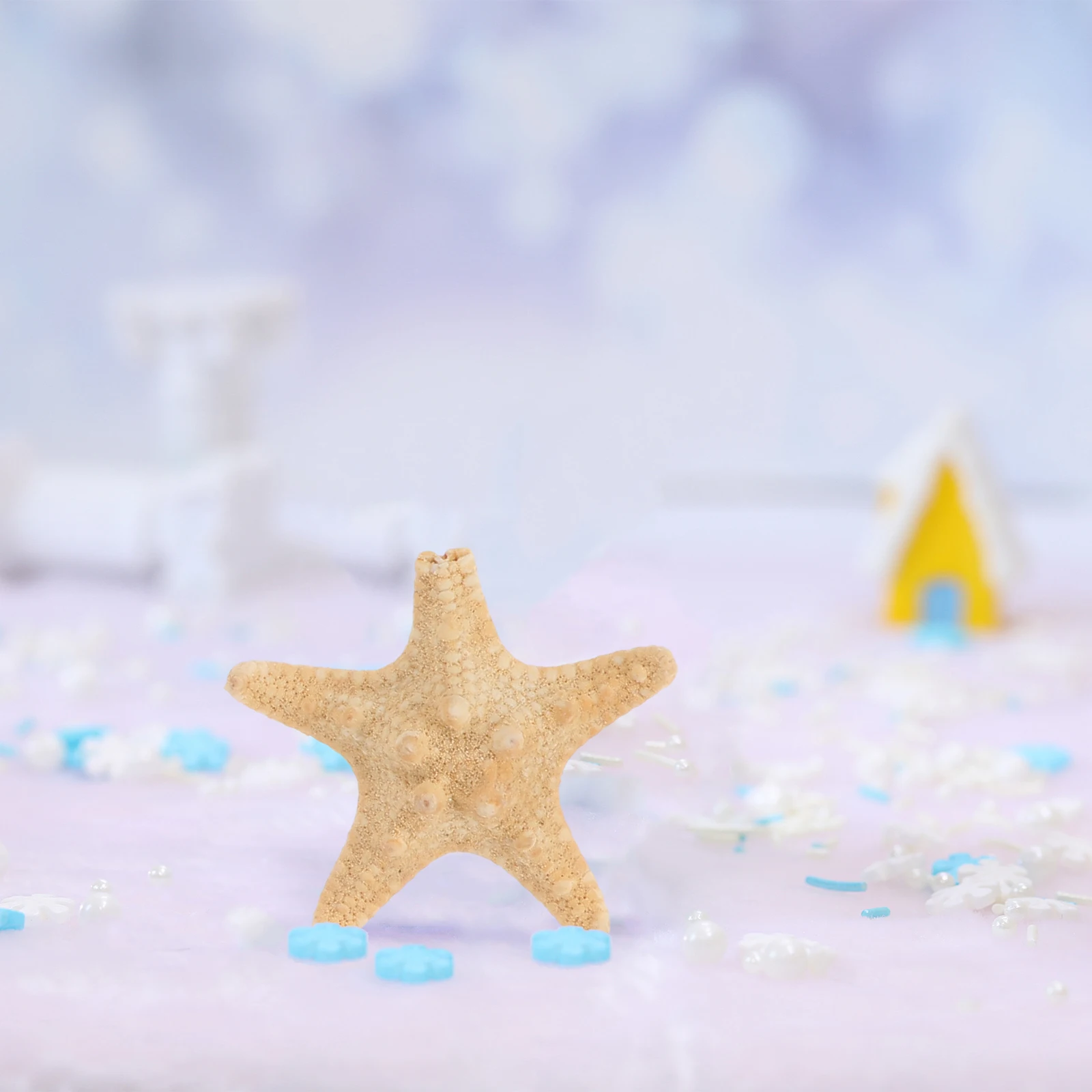 

6pcs Materials Natural Decorations Aquarium Seaside Accessories Handicraft DIY Sea Star Charm Jewelry Making