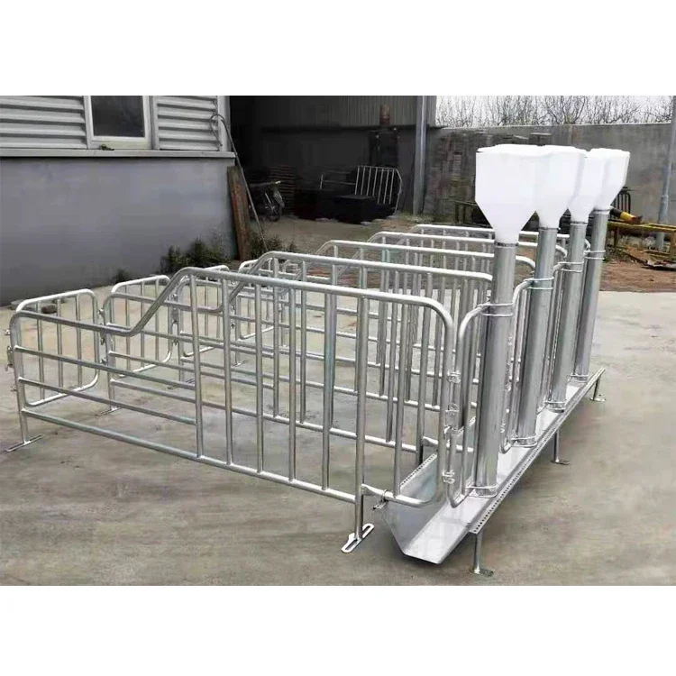 Manufacturer Price Animal & Poultry Husbandry Equipment hog Sow Gestation Crate/Stall