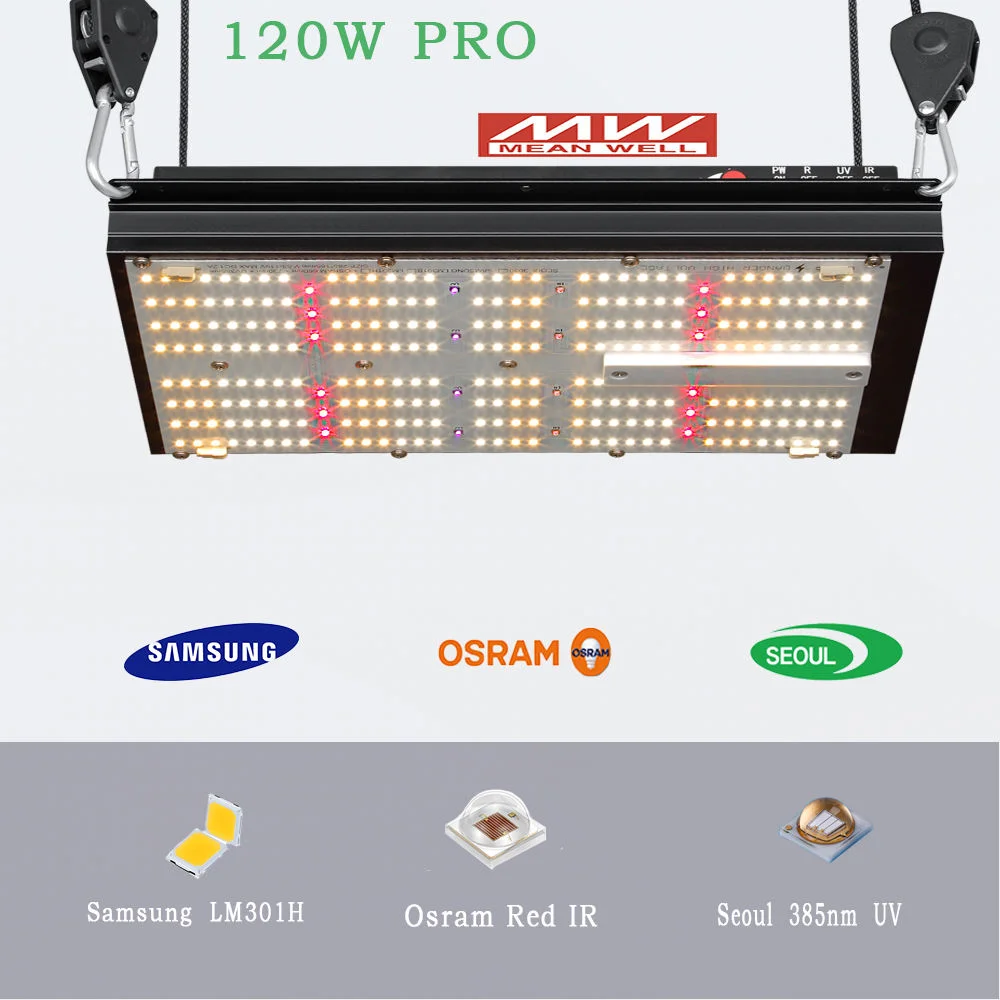 BAVAGREEN 120W Full Spectrum LED Grow Light UV IR Separately Control Dimmable SAMSUNG LM301H Plant LED Lamp for Veg Flower